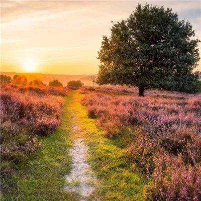 乐发app下载安装