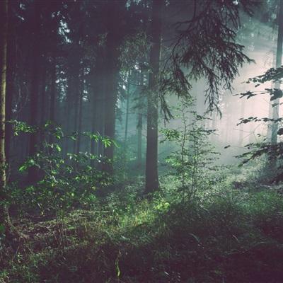 kok中欧登录入口app下载